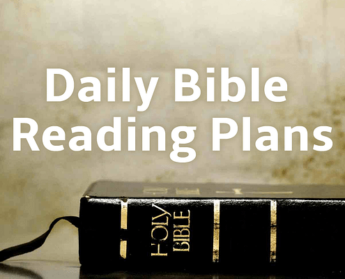daily bible reading plans for 2017